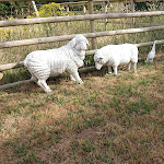 Photo n°4 de l'avis de Mac.� fait le 19/08/2020 à 12:52 sur le  Weisses Haus Pension Hotel Restaurant Nürburgring à Blankenheim