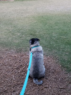 Harry Myers Park - photo 89