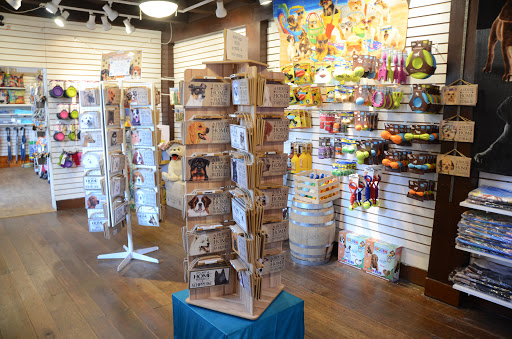 Gift Shop «Faux Paws», reviews and photos, 97 St George St, St Augustine, FL 32084, USA