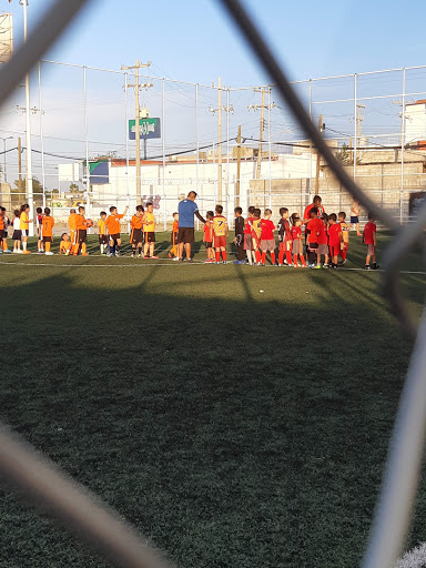 Cancha de pádel Torreón