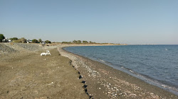 Foto von Mazotos beach annehmlichkeitenbereich