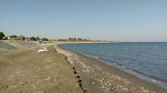 Mazotos beach