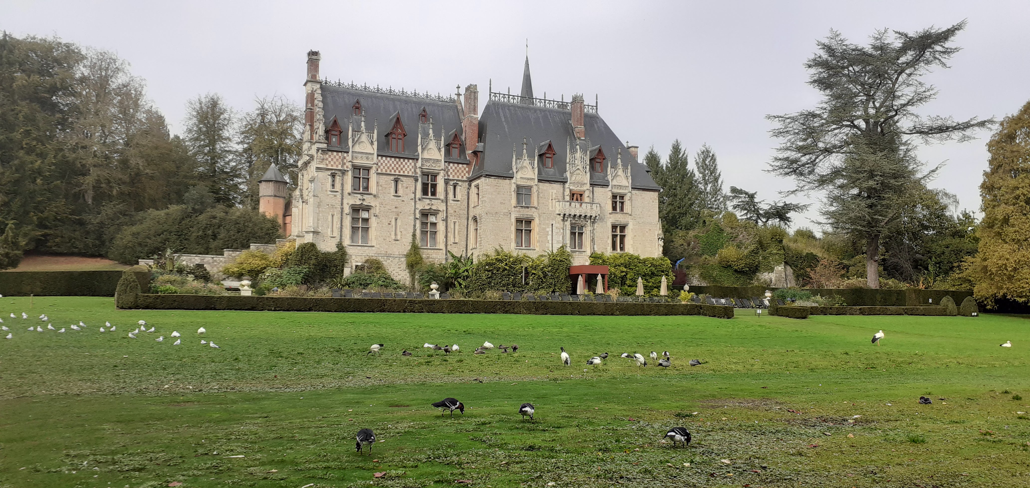 Photo n° 6 de l'avis de nad.a fait le 30/10/2022 à 09:07