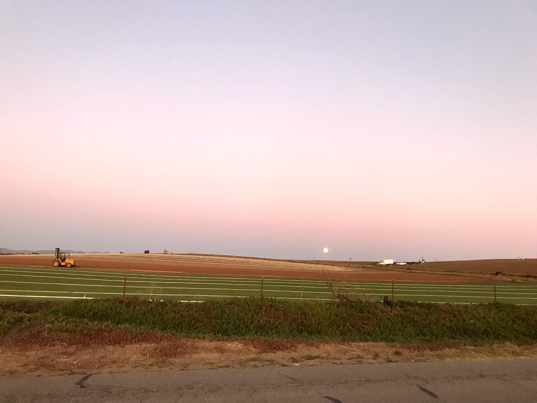 Central Coast Sod Inc.