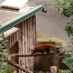 Photo n°7 de l'avis de Han.a fait le 05/08/2023 à 12:42 sur le  Tiergartenrestaurant Waldschänke à Nuremberg