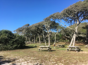 Myrtle Beach State Park