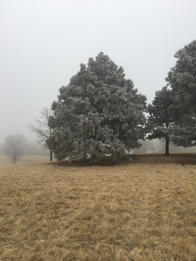 Park «Keller Park», reviews and photos, 14950 Meadowland Blvd, Colorado Springs, CO 80918, USA