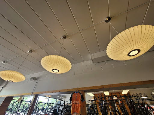 Bicycle Store «Velo City Cycles», reviews and photos, 326 S River Ave, Holland, MI 49423, USA