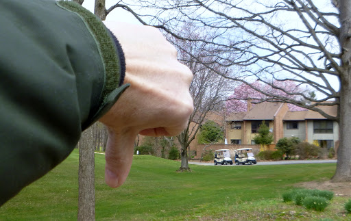 Golf Course «Reston National Golf Course», reviews and photos, 11875 Sunrise Valley Dr, Reston, VA 20191, USA