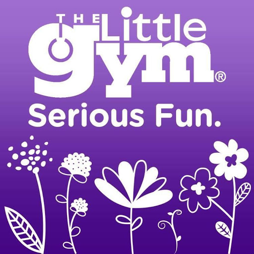 Gymnastics Center «The Little Gym of Pittsburgh-South Hills», reviews and photos, 3909 Washington Rd #205, McMurray, PA 15317, USA