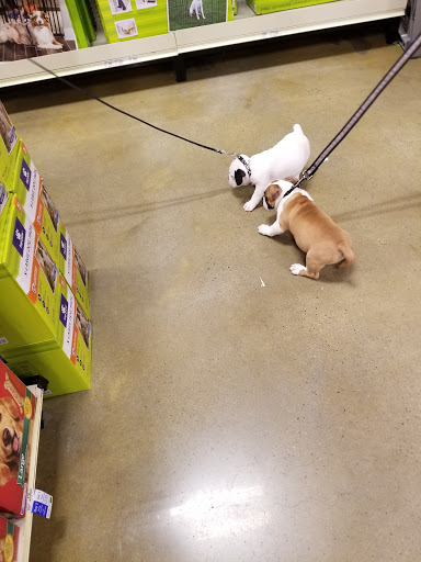 Pet Supply Store «PetSmart», reviews and photos, 9905 E Independence Blvd, Matthews, NC 28105, USA