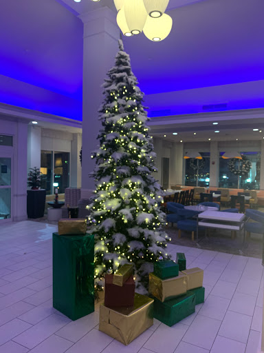 Hotel «Hilton Garden Inn Cincinnati Blue Ash», reviews and photos, 5300 Cornell Rd, Blue Ash, OH 45242, USA