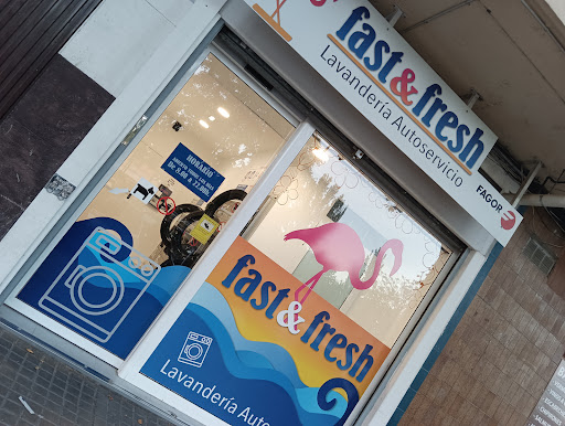 Fast & Fresh Lavanderia Autoservicio