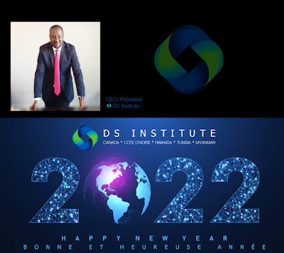 Development Solutions Institute -Dsi