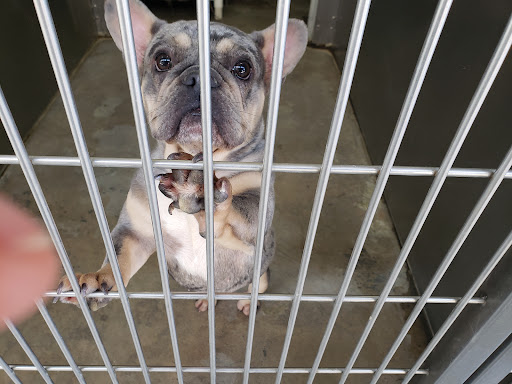 Norco Animal Control Shelter