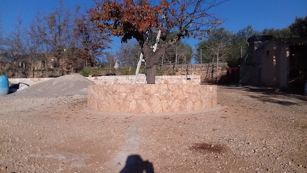 Imagen de Excursions a Cabrera (14 de 17)