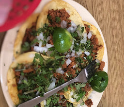 Los Canarios 1 (López Mateos) photo