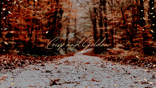 Tire Shop «Chucks Tire & Automotive», reviews and photos, 600 S Collins St, Plant City, FL 33563, USA