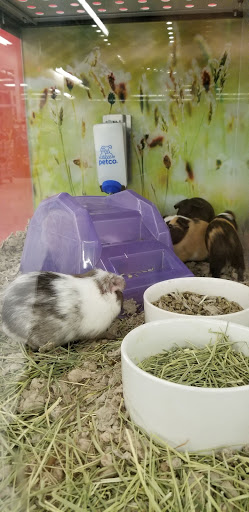 Pet Supply Store «Petco Animal Supplies», reviews and photos, 10 Waterfront Pl, Port Chester, NY 10573, USA