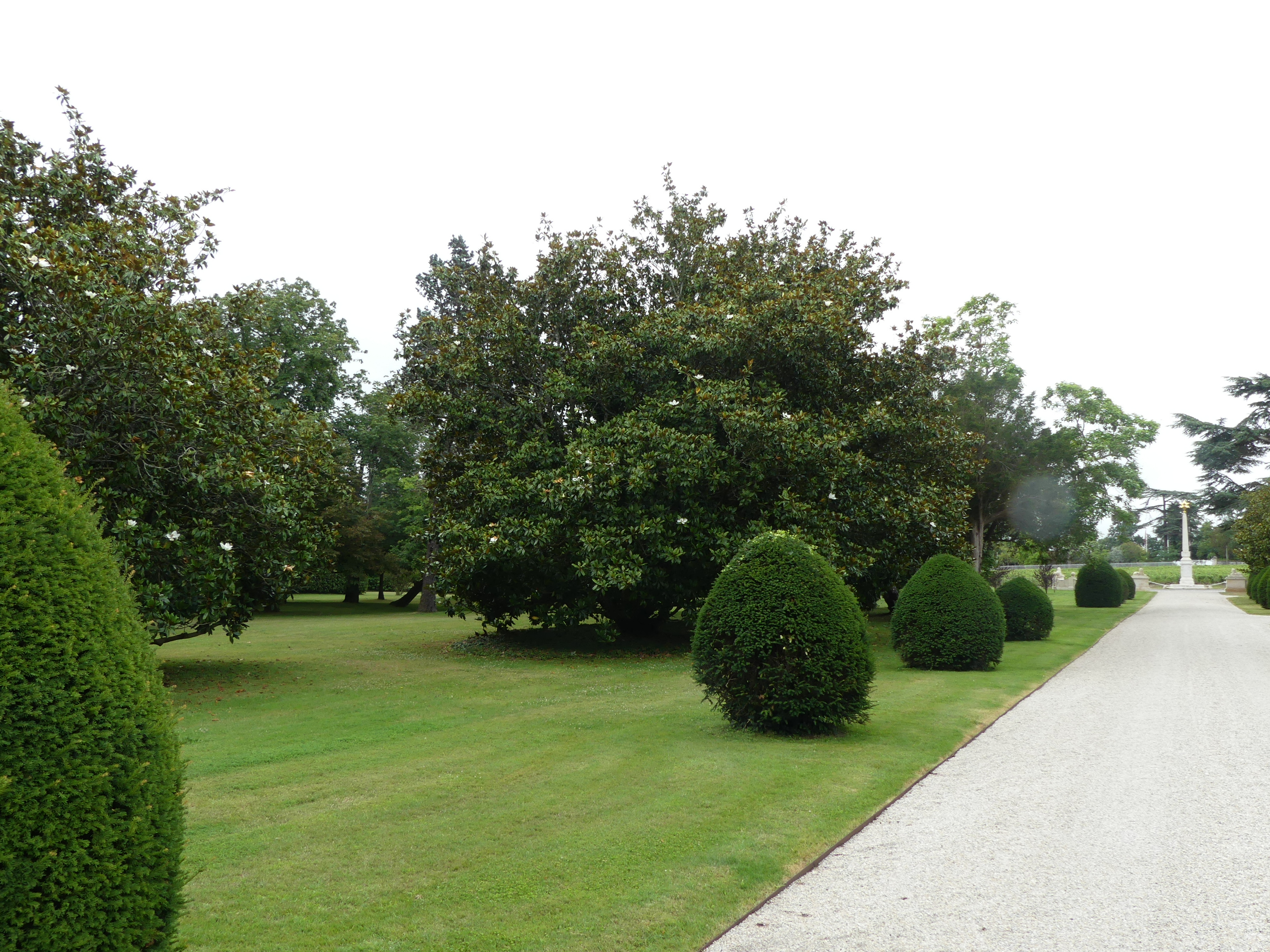 Photo n° 32 de l'avis de Roland.a fait le 17/07/2020 à 19:13