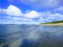 Photo de Point Sands Beach zone des équipements