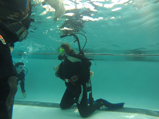 Dive Shop «Orbit Marine Sports Center Inc», reviews and photos, 3273 Fairfield Ave, Bridgeport, CT 06605, USA