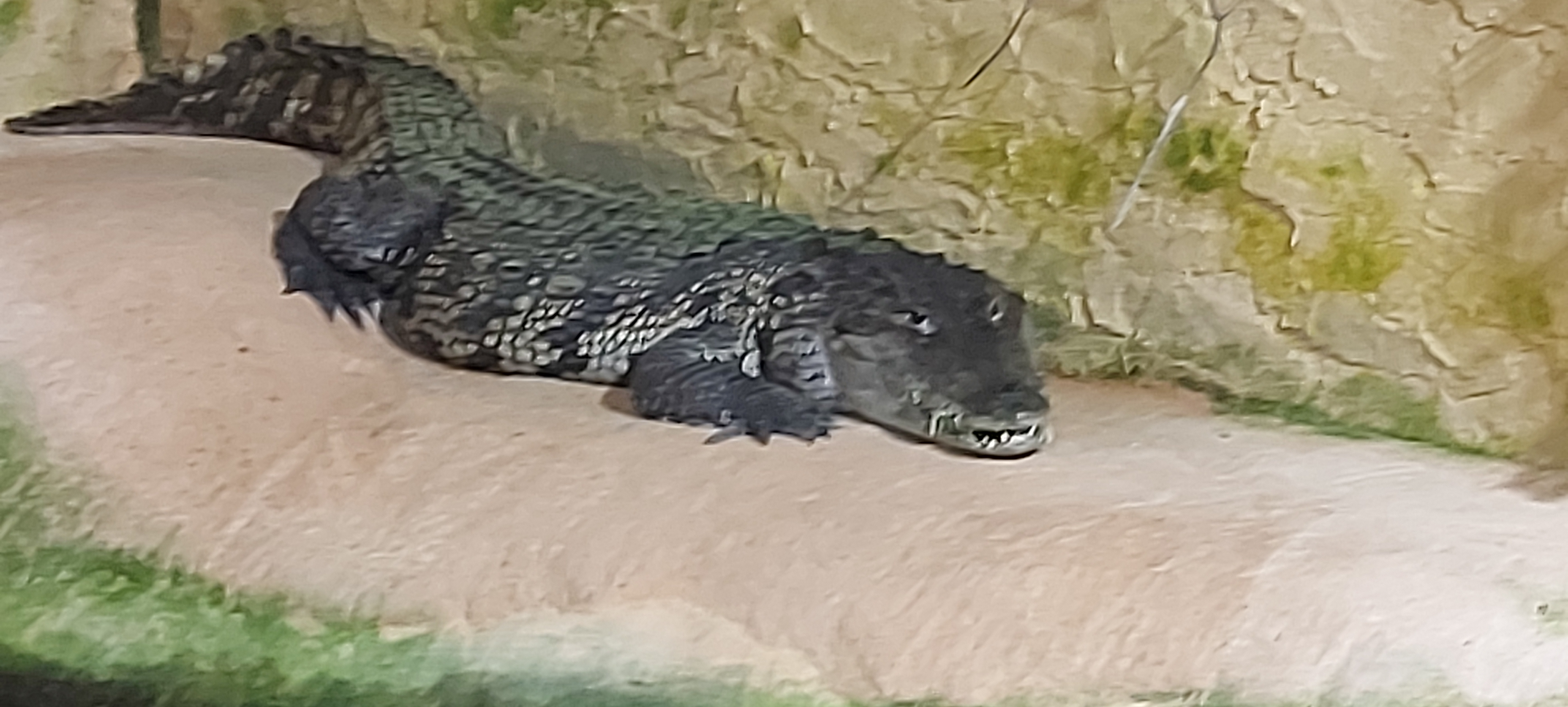 Photo n° 11 de l'avis de Sandrine.o fait le 11/07/2022 à 19:35