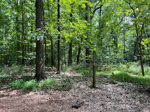 Gunpowder falls hiking
