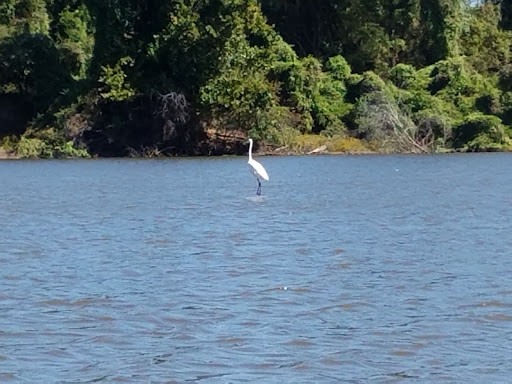 Wildlife Refuge «Red River National Wildlife Refuge», reviews and photos, 150 Eagle Bend Point, Bossier City, LA 71112, USA