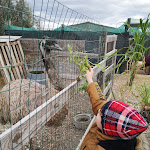 Photo n°2 de l'avis de Marianna.i fait le 05/12/2021 à 18:20 sur le  La Corte Della regina à Ramacca