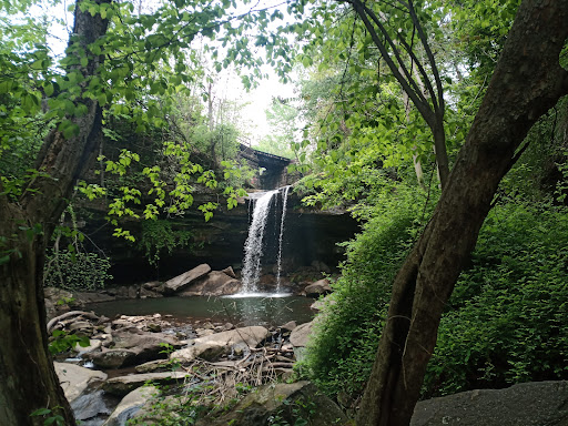 Bar «The Crafthouse Stage & Grill», reviews and photos, 5024 Curry Rd, Pittsburgh, PA 15236, USA