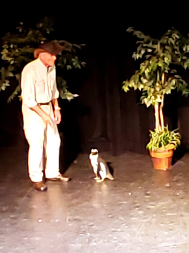 Performing Arts Theater «Paramount Theatre, VT», reviews and photos, 30 Center St, Rutland, VT 05701, USA