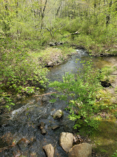 State Park «Borderland State Park», reviews and photos, 259 Massapoag Ave, North Easton, MA 02356, USA