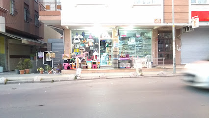 Pasha Pet Shop