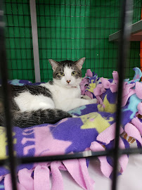 Pet Supplies Plus Pekin - Photo 6 - Car repair in Pekin, IL, Peoria