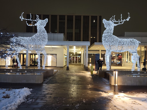 Shopping Mall «Oakbrook Center», reviews and photos, 100 Oakbrook Center, Oak Brook, IL 60523, USA