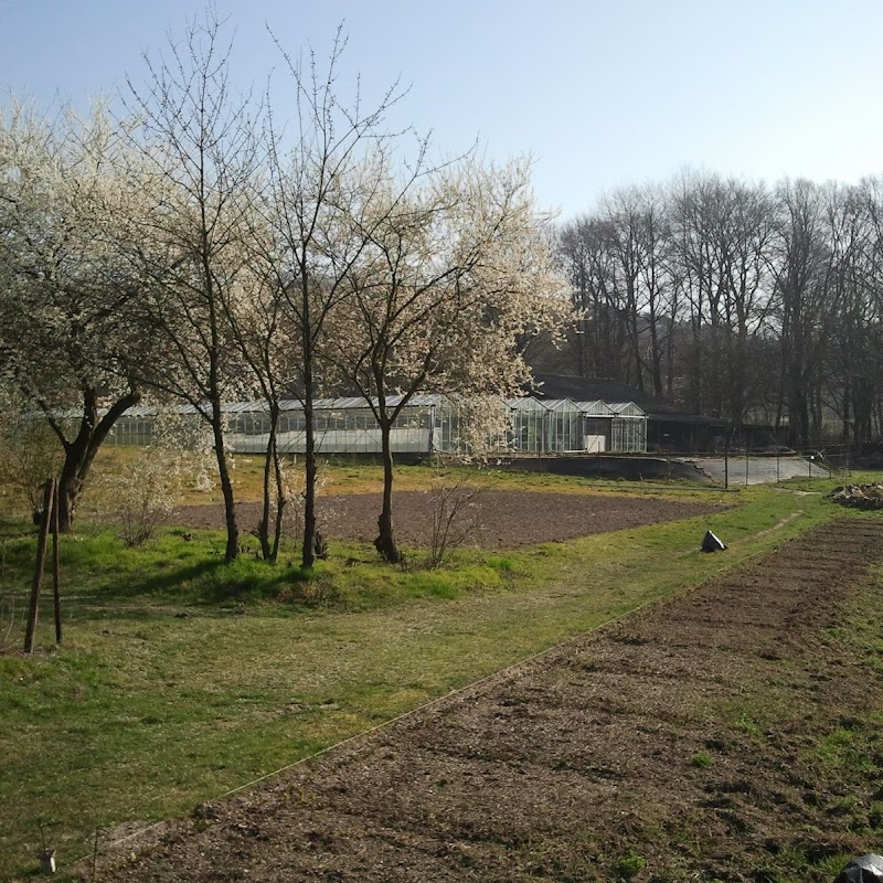 De Heihof, biologisch land- en tuinbouwproject met Bio winkel