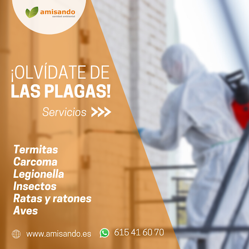 Control de Plagas Sevilla | Servicios de sanidad ambiental para empresas | Amisando