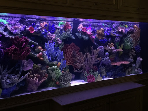 Aquarium «Artistic Aquariums, Inc», reviews and photos, 3400 N Arizona Ave #111, Chandler, AZ 85225, USA