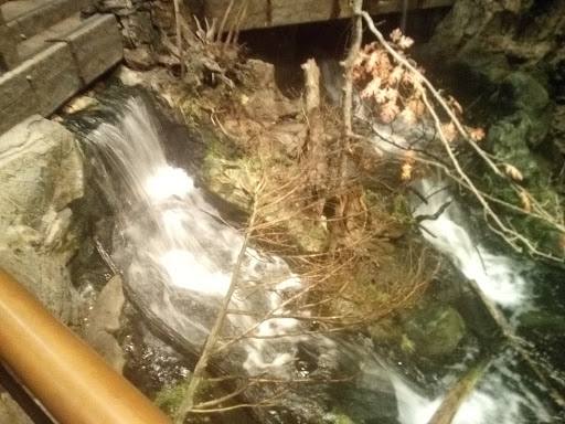 Sporting Goods Store «Bass Pro Shops Base Camp», reviews and photos, 2500 E Kearney St, Springfield, MO 65803, USA