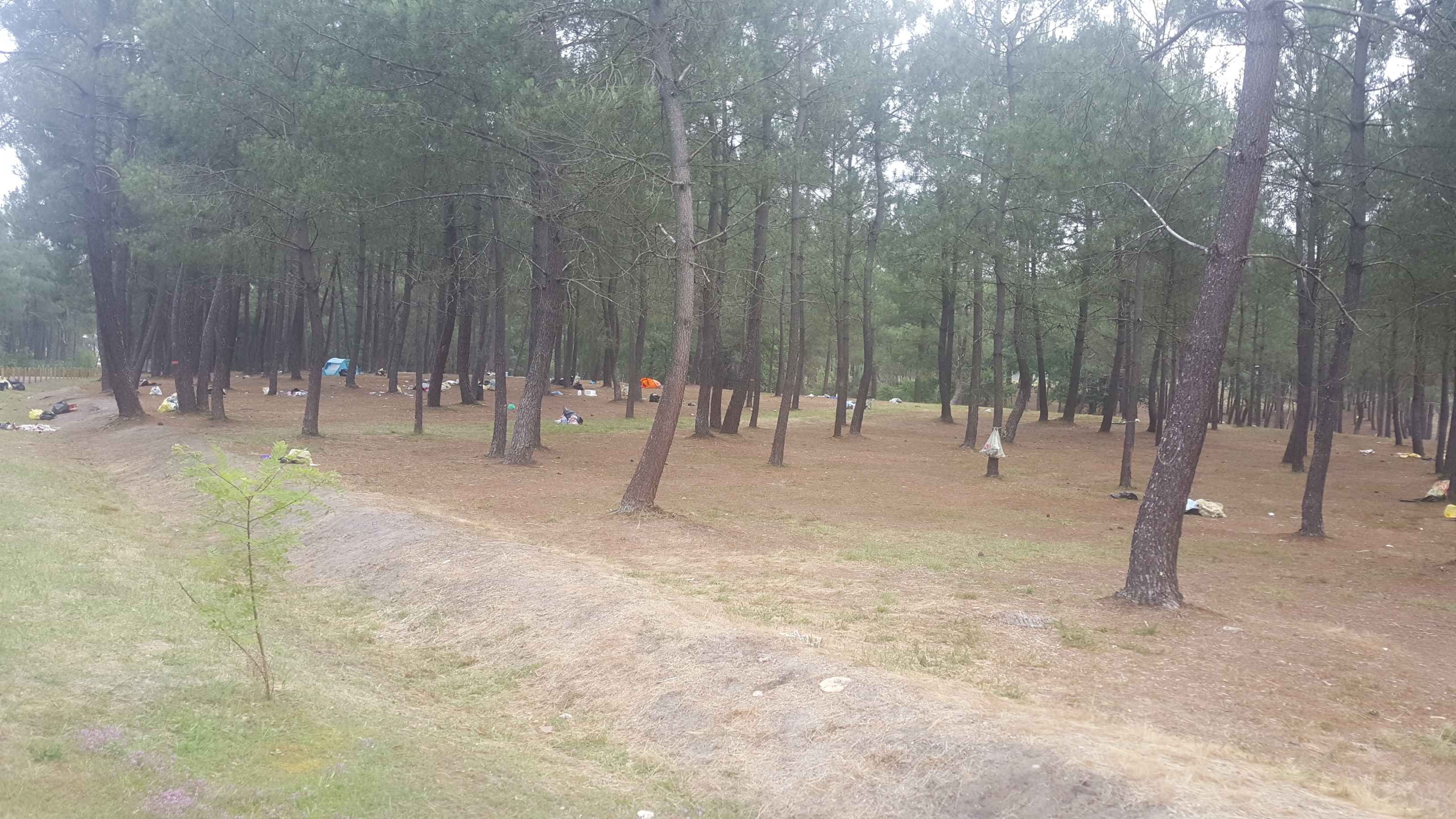 Photo n° 1 de l'avis de Coco. fait le 25/06/2019 à 08:27
