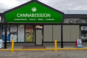 Cannabission Cannabis Ltd image