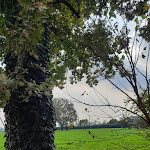 Photo n°1 de l'avis de Michela.p fait le 18/10/2020 à 12:54 sur le  Alla Ribella à Rivolta d'Adda