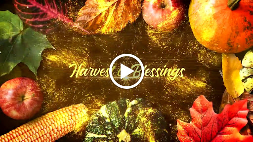 Cell Phone Store «Cellular Mobile Services», reviews and photos, 329 Warren Ave, East Providence, RI 02914, USA