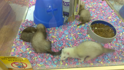 Pet Supply Store «Pet Supermarket», reviews and photos, 4220 Florida Ave S, Lakeland, FL 33813, USA