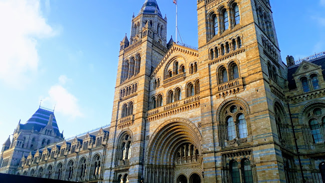 Reviews of Natural History Museum / Cromwell Road (Stop GM) in London - Other