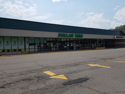 Dollar Store «Dollar Tree», reviews and photos, 6750 River Rd, Marine City, MI 48039, USA