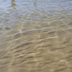 Photo n°12 de l'avis de angela83. fait le 01/08/2019 à 13:36 sur le  Blank Hotel à Castellaneta Marina