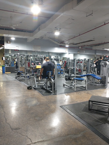 Gym «Bodhi Fitness Center Inc», reviews and photos, 35-11 Prince St, Flushing, NY 11354, USA