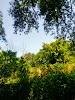 Cut Off Park